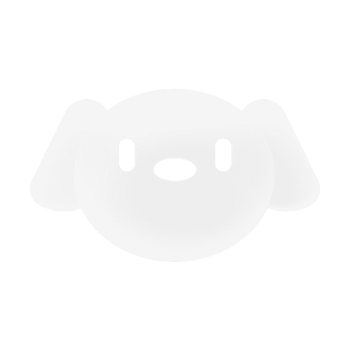 JoyAI